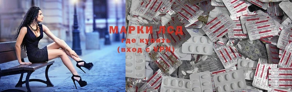 индика Магадан