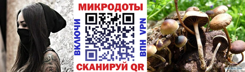 Псилоцибиновые грибы мицелий Архангельск
