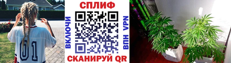 купить наркотик  Архангельск  гидра зеркало  Бошки Шишки семена 