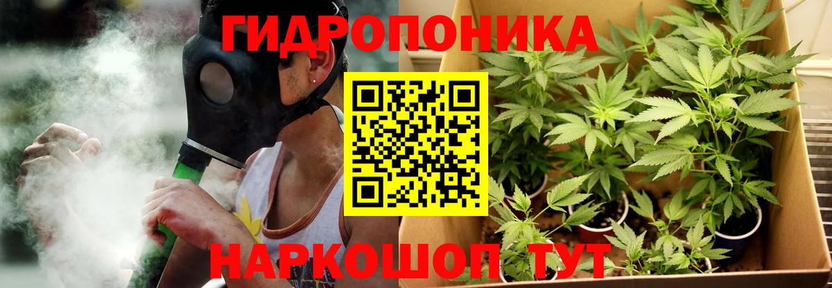 Шишки марихуана THC 21%  Архангельск  Бошки марихуана план  Шишки марихуана THC 21% 